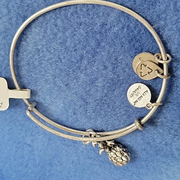Alex and Ani - Pineapple Lovers Bracelets Lot of 2 - Picture 6 of 7